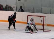 IMG 7286