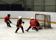 IMG 8885